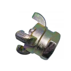 ACOPLE CHICAGO AMERICANO (AZ) HEMBRA