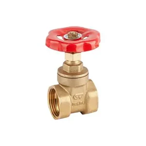 VÁLVULA COMPUERTA BR. PN10. 1"